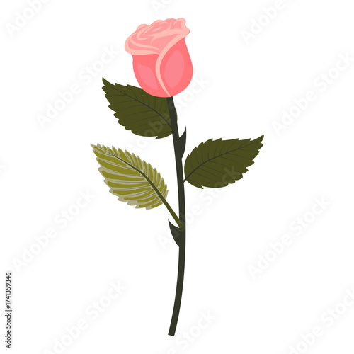Delicate pink rose. Elegant flower on a slightly inclined stem. Vector illustration isolated on a white background.