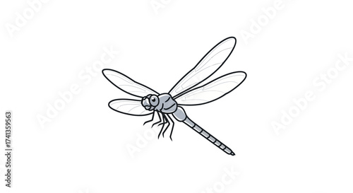 Hand-drawn dragonfly illustration with delicate wings.