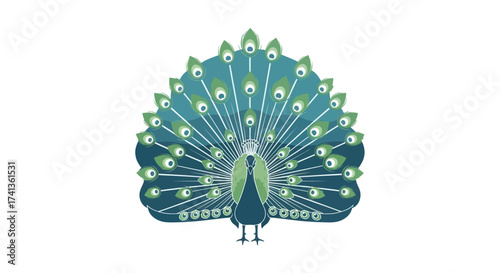 Vibrant Peacock Illustration with Fanned Tail Displaying Colorful Feathers.