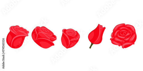 Set of bright red roses for your design. Vector illustration isolated on white background.
