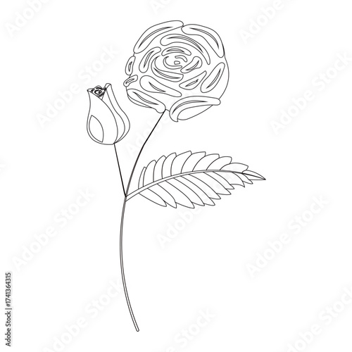 Simple single rose in doodle style. Vector illustration isolated on white background.
