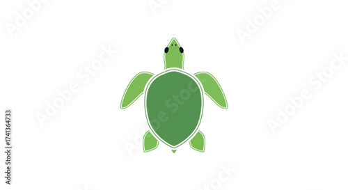 Green Sea Turtle Illustration with Smooth Shell and Flippers.