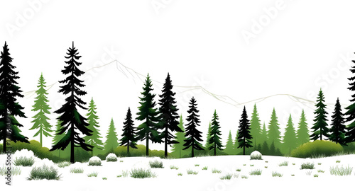 winter landscape with trees