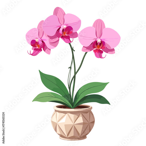 Beautiful pink orchid flowers on a delicate green stem, showcasing tropical elegance, purity, and natural beauty, perfect for botanical art, floral designs, and exotic garden themes