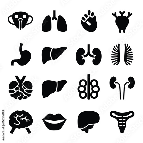 Black silhouette icons of human organs and body parts on white background health medical