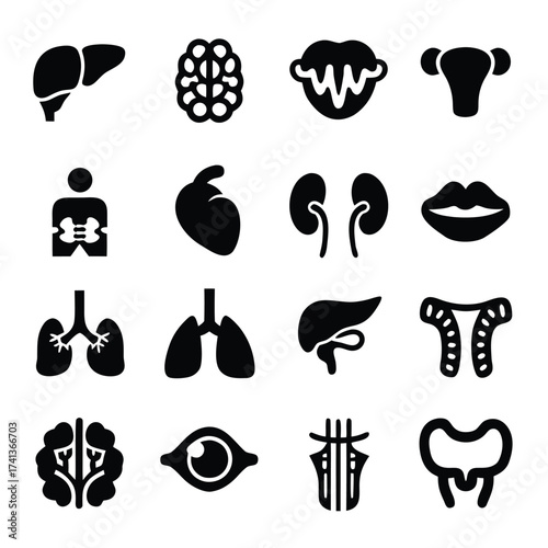 Collection of black and white icons representing human organs and body parts vector