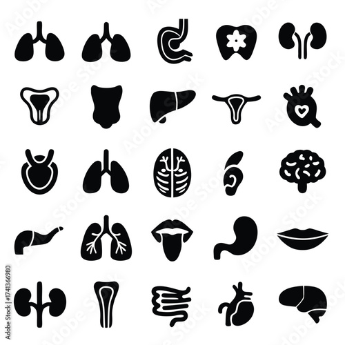 Collection of black human organ icons on white background lungs stomach