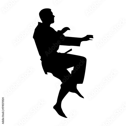This image captures a karate practitioner executing a dynamic kick. The silhouette highlights the agility, precision, and power involved in this martial arts technique.