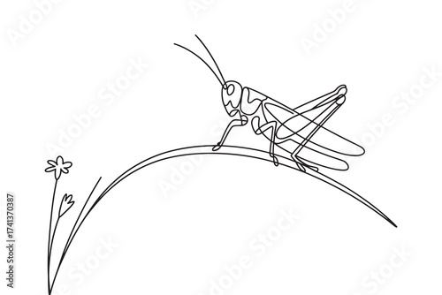 Continuous one line drawing  of a grasshopper perched on a blade of grass