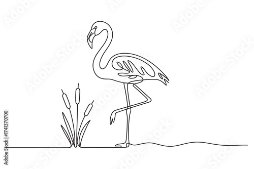  minimalist continuous line drawing of a flamingo standing next to reeds