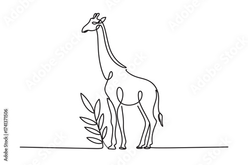 minimalist continuous line drawing of a giraffe standing next to a plant