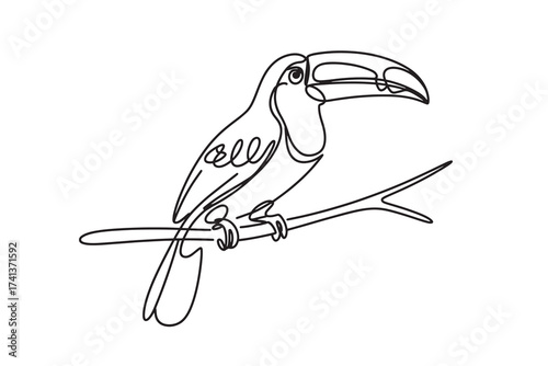  a minimalist oneline drawing of a toucan perched on a branch