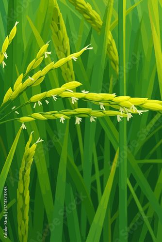 A detailed close-up illustration of rice panicles during the flowering stage in a lush green paddy field. The young rice grains are bright green, with delicate white flowers emerging from each spikele