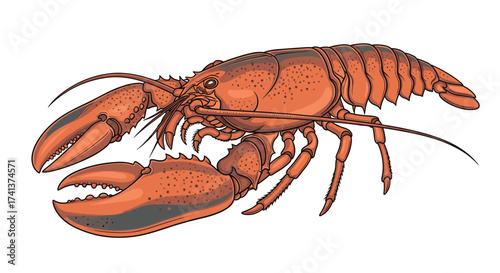 An illustration of a large red lobster with prominent claws.