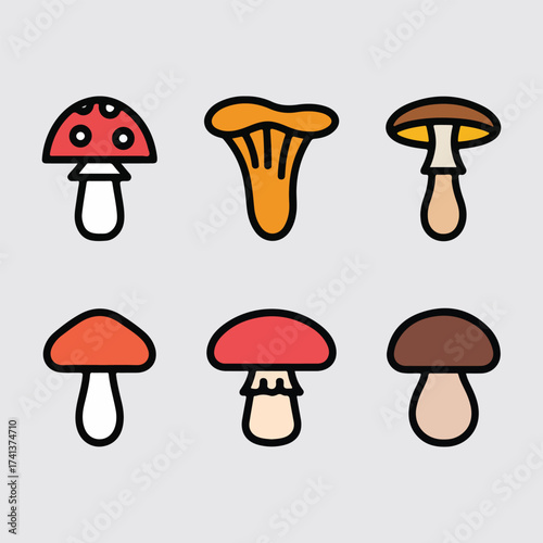 UK Fungus Day vector illustration of woodland mushrooms, fly agaric, chanterelle, and toadstools in flat solid color, cartoon and botanical style artwork