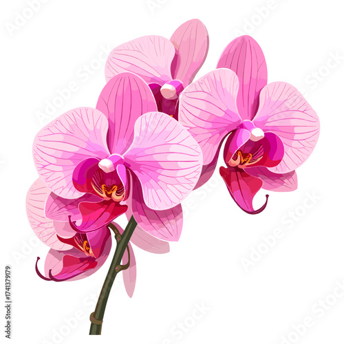 Beautiful pink orchid flowers on a delicate green stem, showcasing tropical elegance, purity, and natural beauty, perfect for botanical art, floral designs, and exotic garden themes