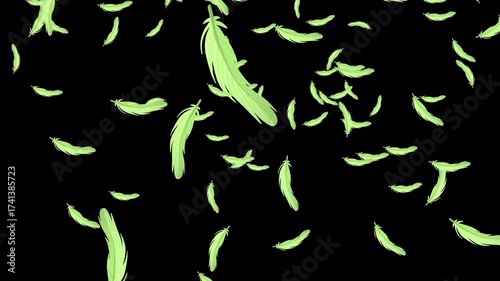 Set Of Feathers Falling From Top To Bottom With Transparent Background