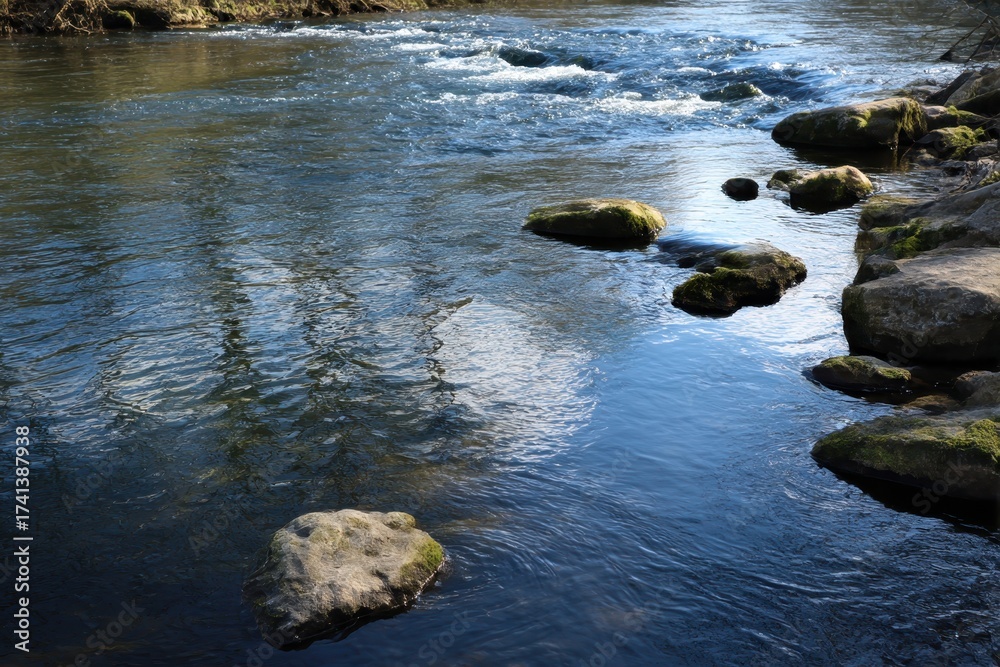 Fototapeta premium calm water flow in a river