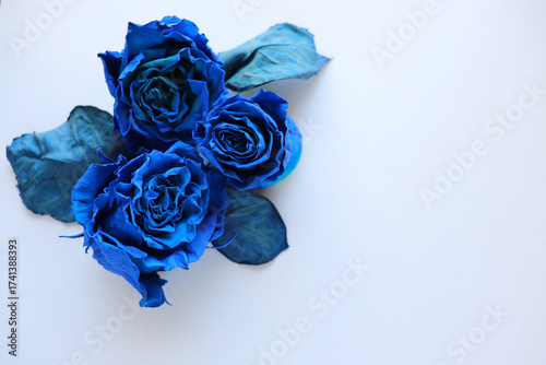 Greeting card mockup with blue roses on a white background
