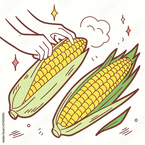 corn cobs isolated on white, Eps file. 