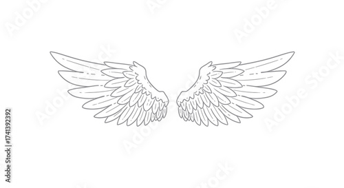 Detailed Illustration of Two Angel Wings.