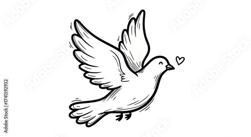 Hand-drawn illustration of a white dove with outstretched wings carrying a small heart.