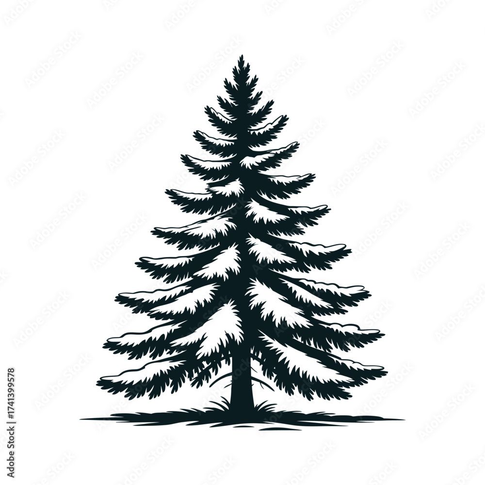 Obraz premium Snow-covered pine tree