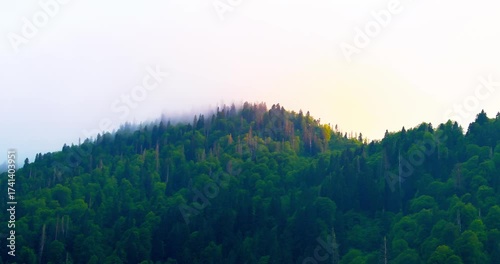 8K horizontal shot of the Fırtına Valley from a higher angle, surrounded by misty forests and mountain slopes. A calm yet powerful expression of nature’s balance