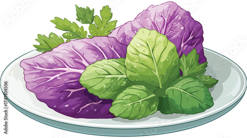 Fresh Plate of Colorful Vegetables with Purple Leaf and Green Background