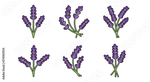 Flat Design Various Lavender Flower Branches Blooming Isolated Element Illustration