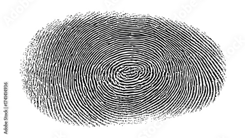 Detailed Fingerprint Pattern for Security System Background Design