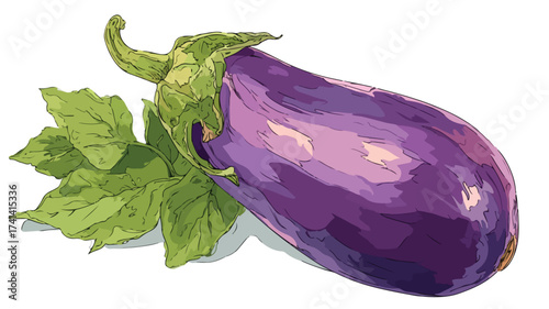 Fresh Eggplant Vegetable Vector Natural Design