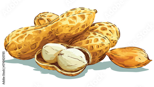 Delicious Peanuts Food Vector Art with Outline Isolated on White Background