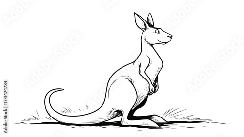 Cute Kangaroo Cartoon Vector Drawing with Outline for Design Projects