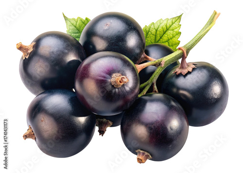 Cluster of ripe blackcurrants with green leaves isolated on white background