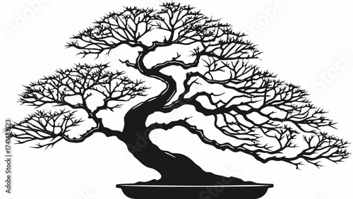 Tranquil Bonsai Tree Silhouette: A meticulously crafted bonsai tree, a symbol of harmony and patience, stands silhouetted against a subtle backdrop.