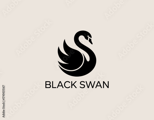 This image features a graceful black swan elegantly showcased against a soft neutral background, symbolizing beauty, transformation, and uniqueness in nature.