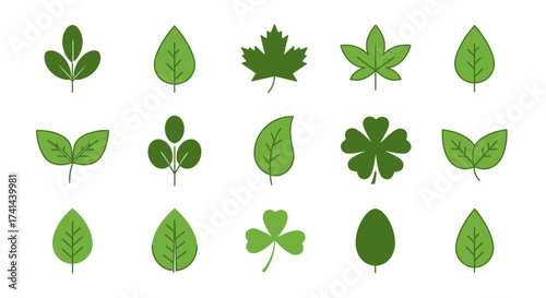 set of green leaves vector 33