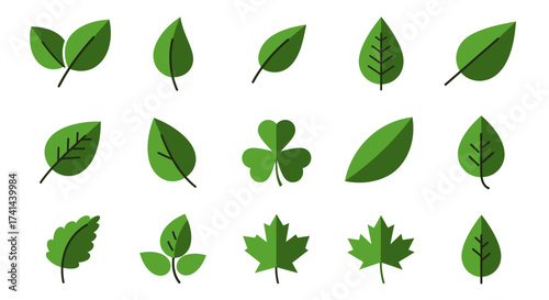 Wallpaper Mural set of leaves12 Torontodigital.ca