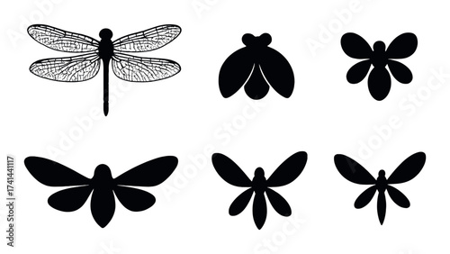 Silhouettes of various insects on black background: dragonfly, butterfly, beetle, moth