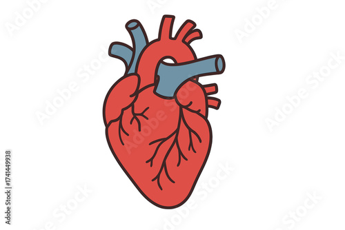 Human heart icon in cartoon style. Anatomy vector illustration for cardiology and medical education. Internal organ symbol for healthcare design, isolated on white background.
