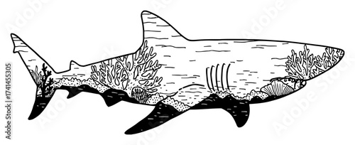 Shark Silhouette Double Exposure Underwater Sea Landscape Corals Seaweed Black and White Outline Line Art Drawing