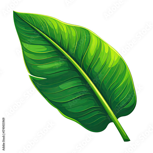 Vibrant green tropical leaf