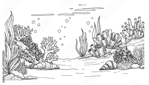 Underwater Landscape with Corals and Seaweeds Coloring Book Style Black and White Outline Line Art Drawing