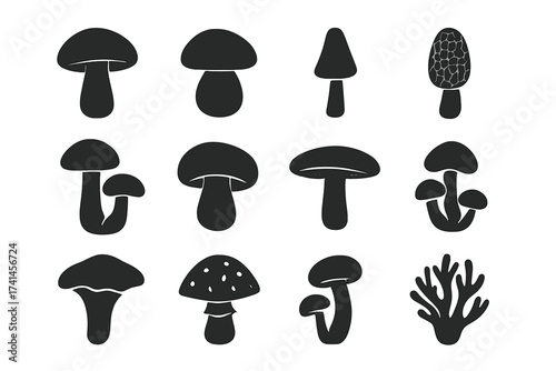 Mushroom icon set. Big collection of various fungi silhouettes. Simple monochrome vector graphic symbols like morel, amanita, porcini. Forest fungus shapes for logo design.
