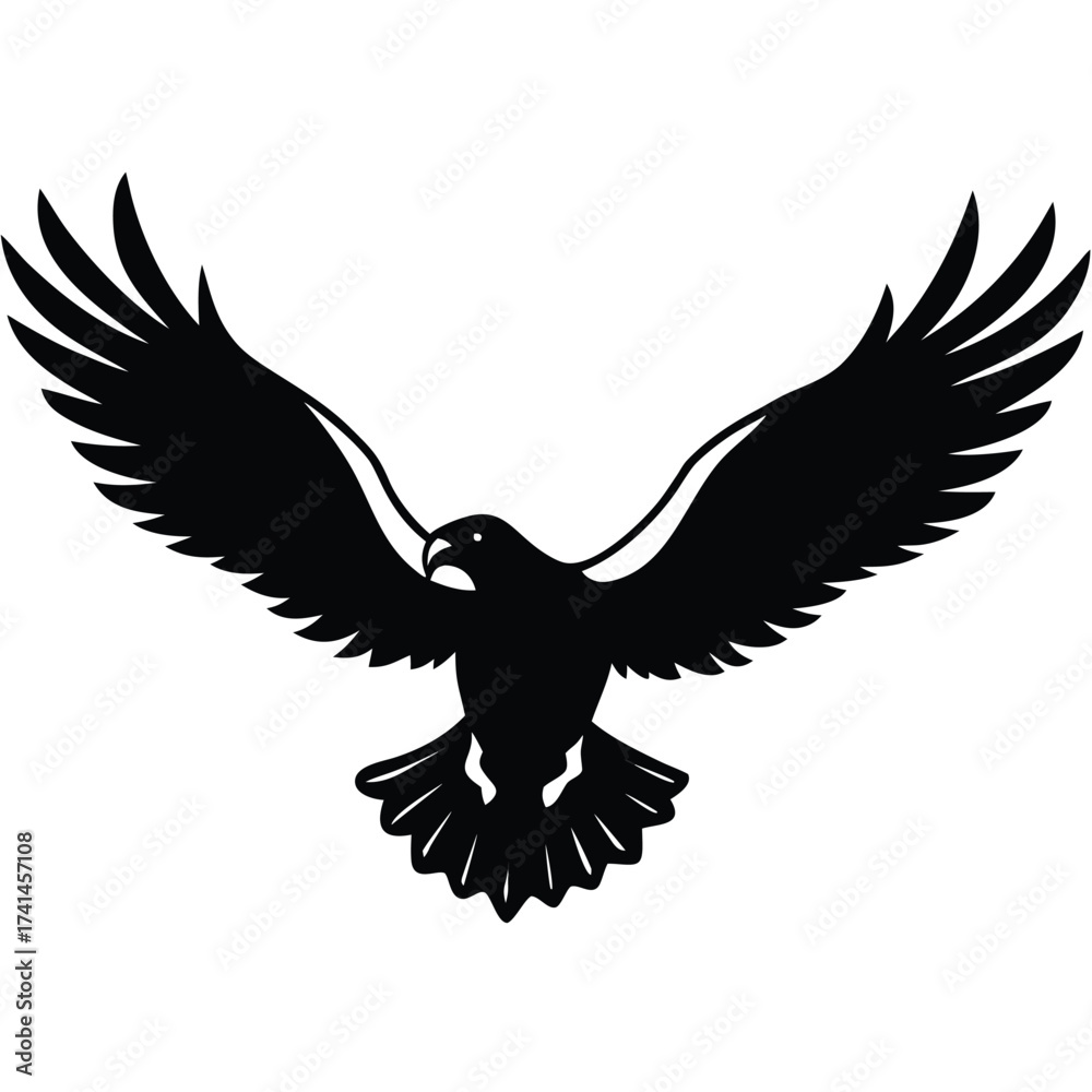 Obraz premium A silhouette of an eagle with wings spread wide