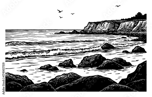 Coastal Beach Landscape with Stone Rocks Waves and Seagulls Black and White Outline Line Art Drawing