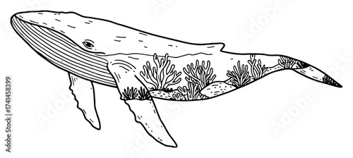 Underwater Sea Landscape with Seaweed and Corals Double Exposure inside Whale Silhouette Black and White Outline Line Art Drawing