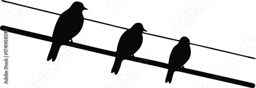 Three birds perched on a wire in silhouette