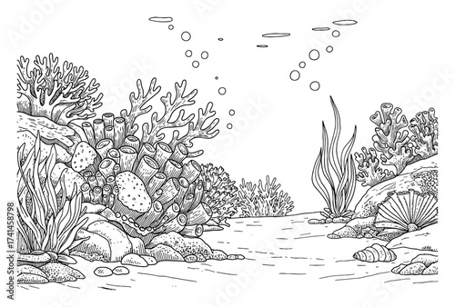 Underwater landscape with corals seaweeds rocks and shells Black and White Outline Line Art Drawing